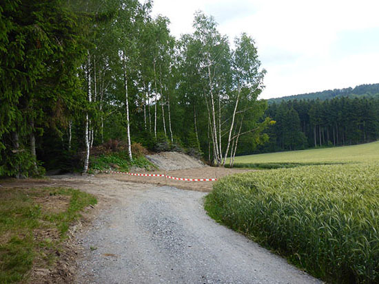 Sanierte Fläche des Schurfes 9/64 in Dorfchemnitz, 2014