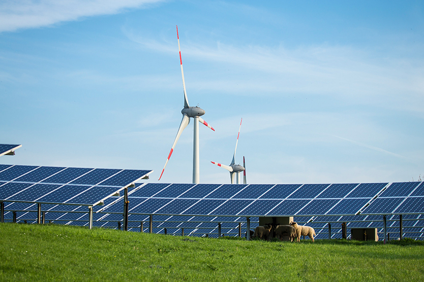Solaranlage und Windräder zum Informationsportal Erneuerbare Energien; Quelle: BMWi/Holger Vonderlind