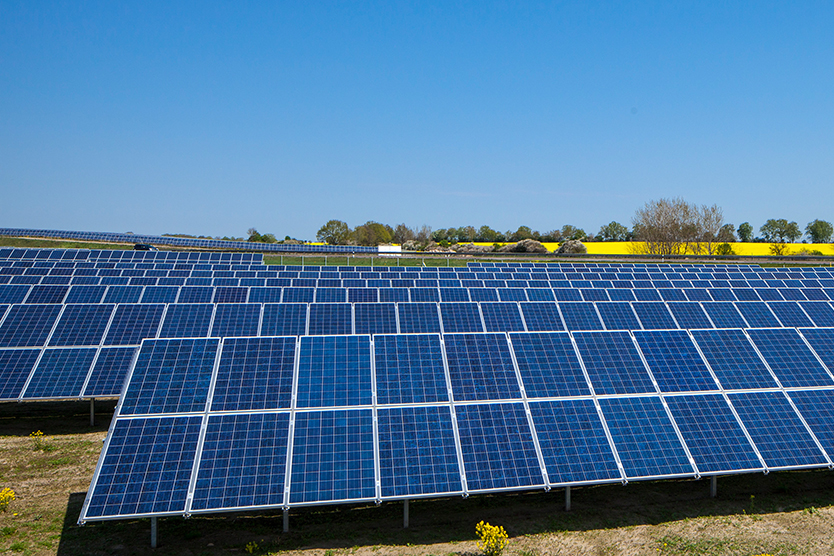 Photovoltaikanlage zu Pilotausschreibung für Photovoltaik-Freiflächenanlagen; Quelle: BMWi/Holger Vonderlind