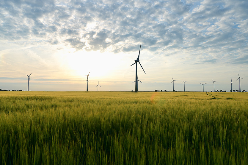 grüne Energie - windpark mit Windrädern zur Stromerzeugung
