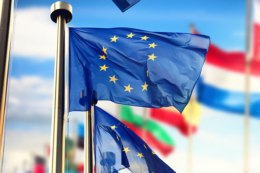 EU-Flagge und Flaggen anderer Länder im Hintergrund