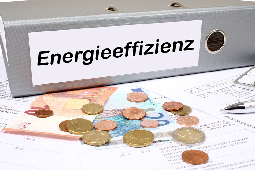 Ordner beschriftet mit Energieeffizienz, davor Geld und Anträge zu Bürgschaften für Energieeffizienzprojekte
