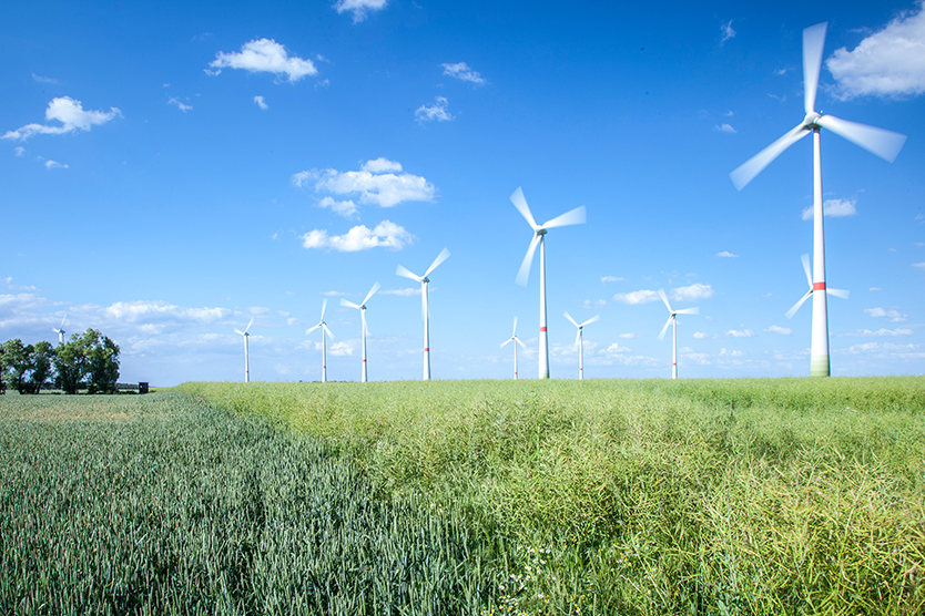 Windräder zum Thema Erneuerbare Energien.