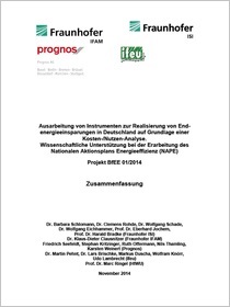 Cover der Publikation Ausarbeitung von Instrumenten zur Realisierung von Endenergieeinsparungen in Deutschland auf Grundlage einer Kosten-/Nutzen-Analyse. Wissenschaftliche Unterstützung bei Erarbeitung des Nationalen Aktionsplans Energieeffizienz (NAPE)