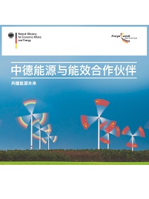 Cover der Publikation Deutsch-Chinesische Energiepartnerschaft