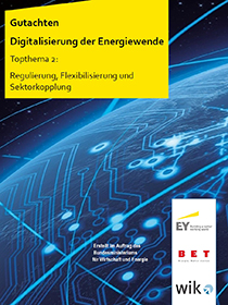 Cover des Gutachtens Digitalisierung der Energiewende