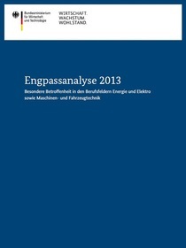 Cover der Publikation Engpassanalyse 2013