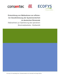 Cover der Studie Entwicklung von Maßnahmen zur effizienten Gewährleistung der Systemsicherheit im deutschen Stromnetz