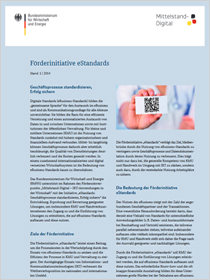 Cover der Publikation Förderinitiative eStandards