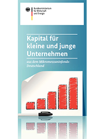 Cover der Publikation Kapital für kleine und junge Unternehmen