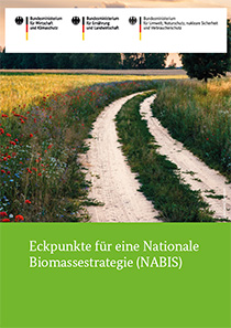 Cover der Publikation Eckpunkte für eine Nationale Biomassestrategie (NABIS)