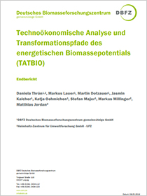 Cover der Studie „Technoökonomische Analyse und Transformationspfade des energetischen Biomassepotentials“