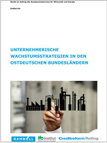 Cover der Studie "Unternehmerische Wachstumsstrategien in den ostdeutschen Bundesländern"
