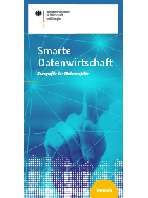 Cover des Flyer Smarte Datenwirtschaft