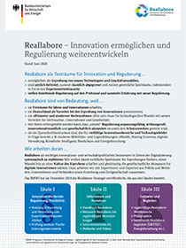 Cover der Publikation Reallabore – Innovation ermöglichen und Regulierung weiterentwickeln