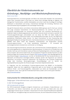 Cover des Papieres Überblick zu Förderinstrumenten zur Gründungs- und Wachstumsfinanzierung