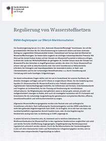 Cover der Publikation Regulierung von Wasserstoffnetzen