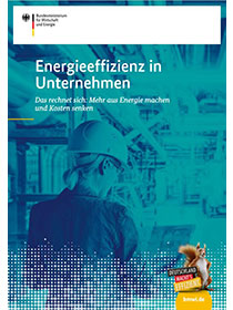 Cover der Publikation "Energieeffizienz in Unternehmen"