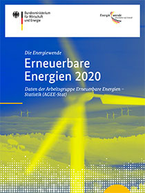 Cover der Publikation Erneuerbare Energien 2020