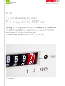 Cover der Publikation Pilotprogramm „Stromeinsparungen im Rahmen wettbewerblicher Ausschreibungen: Stromeffizienzpotentiale nutzen“ (STEP up!)