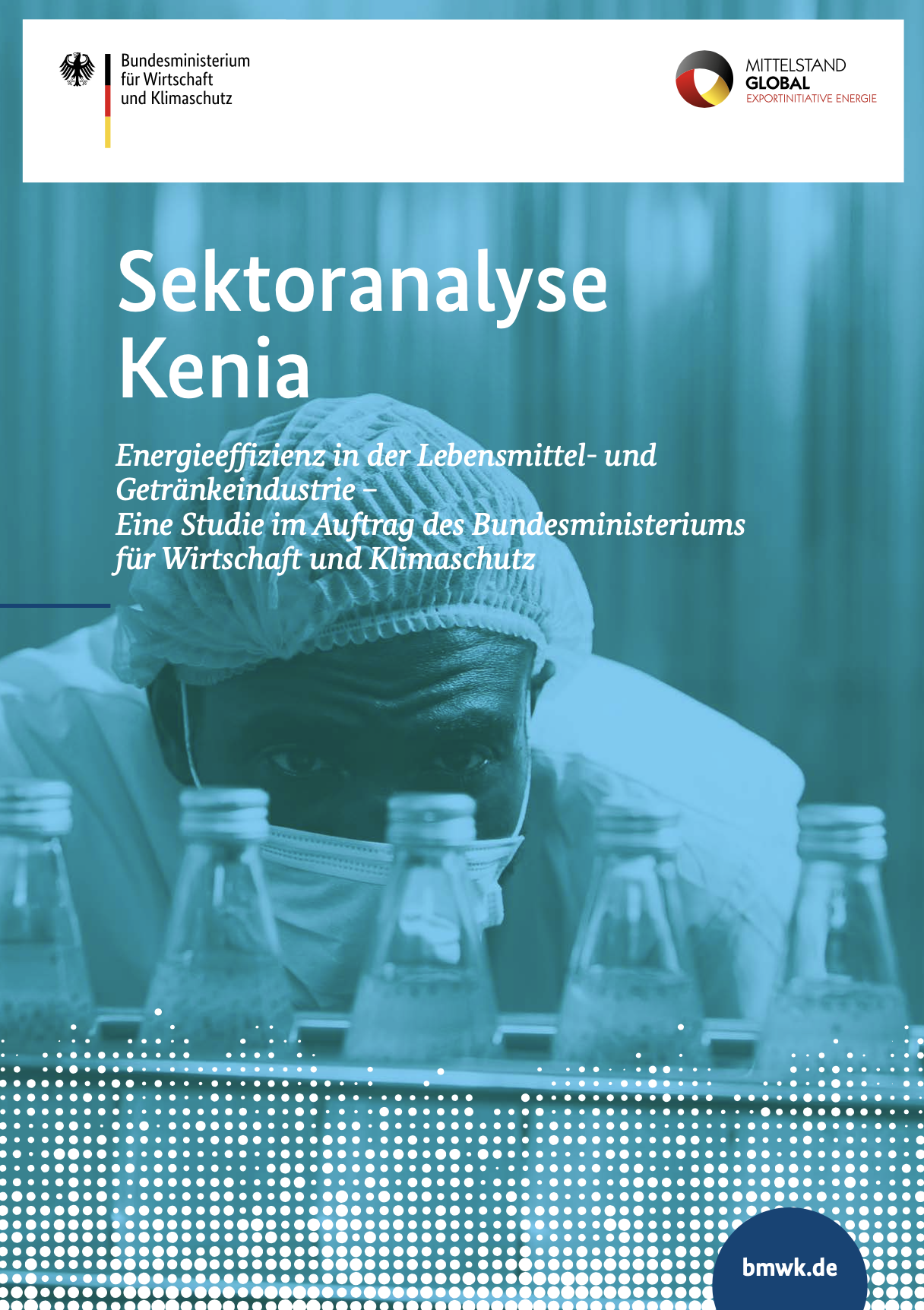 Cover der Publikation Sekotranalyse Kenia
