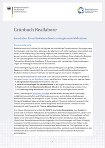 Cover der Publikation Grünbuch-Reallabore