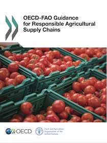 OECD‑FAO Guidance for Responsible Agricultural Supply Chains Cover