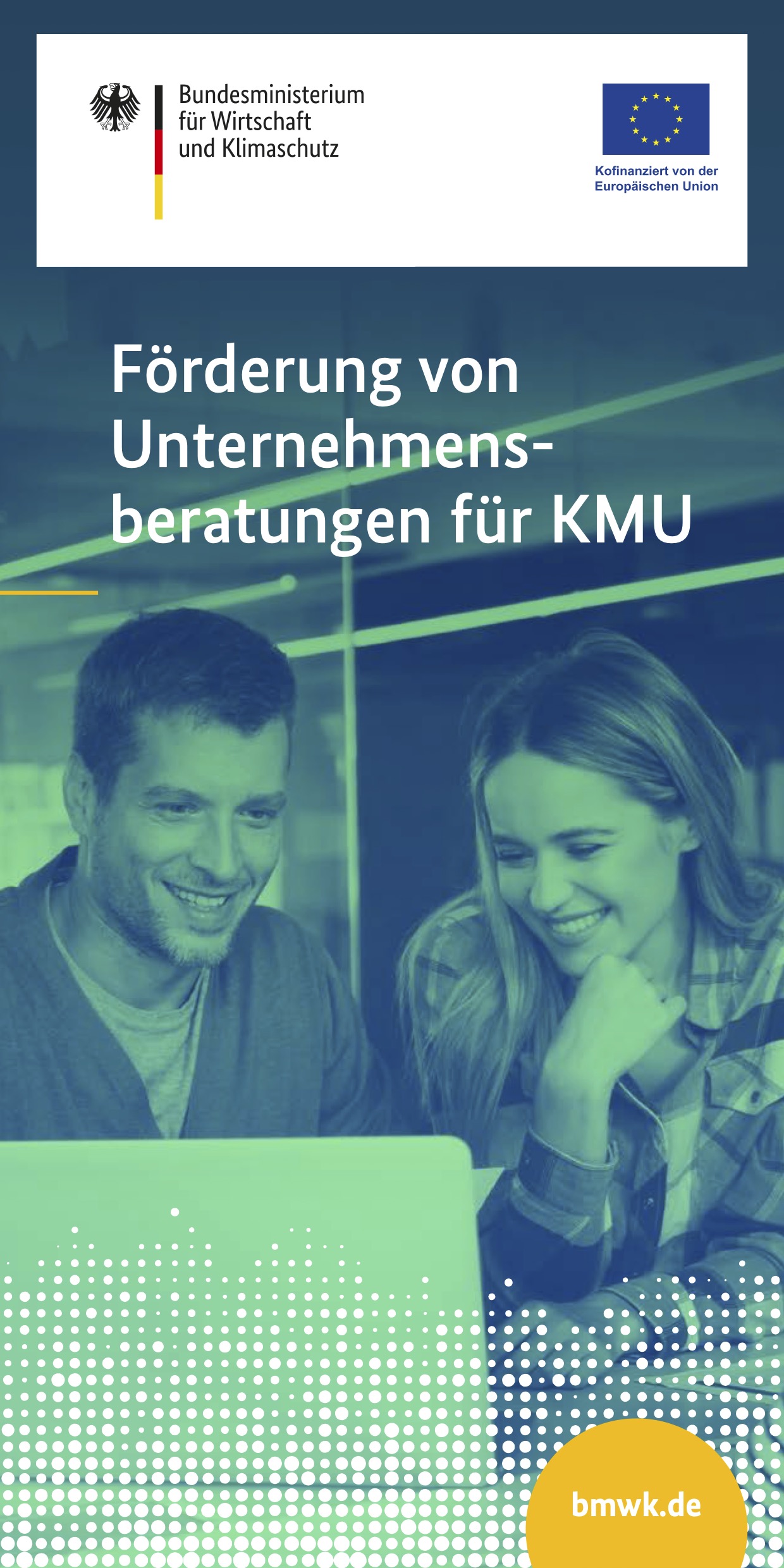 Cover der Publikation Förderung von Unternehmensberatungen für KMU