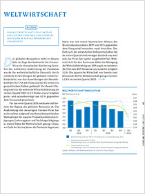 Cover der Publikation Schlaglichter der Wirtschaftspolitik "Weltwirtschaft"