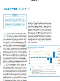Cover der Publikation Schlaglichter der Wirtschaftspolitik "Weltwirtschaft"