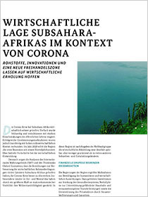 Cover der Publikation Schlaglichter der Wirtschaftspolitik "Wirtschaftliche Lage Subsahara-Afrikas im Kontext von Corona"
