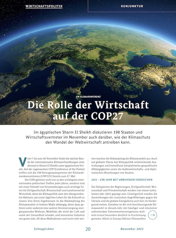 Die Rolle der Wirtschaft auf der COP27