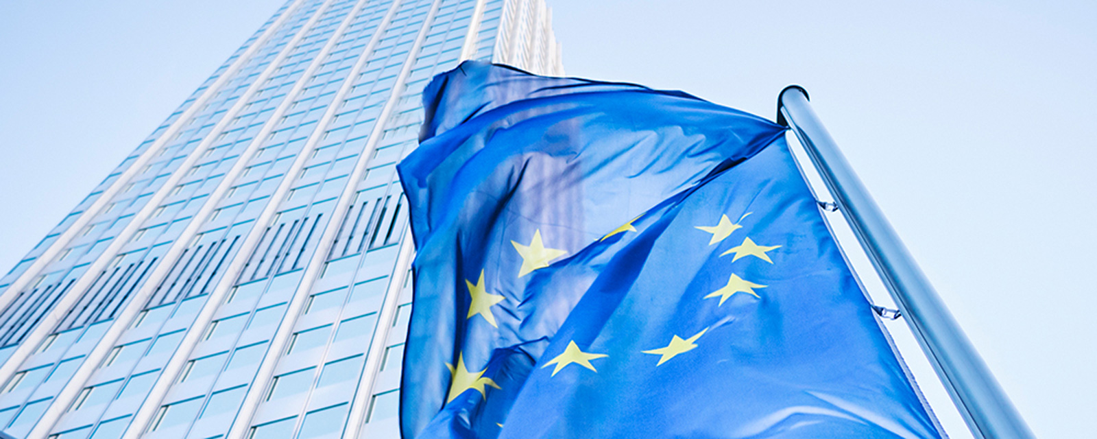 EU flag symbolizes European Economic Policy; Source: iStock.com/instamatics