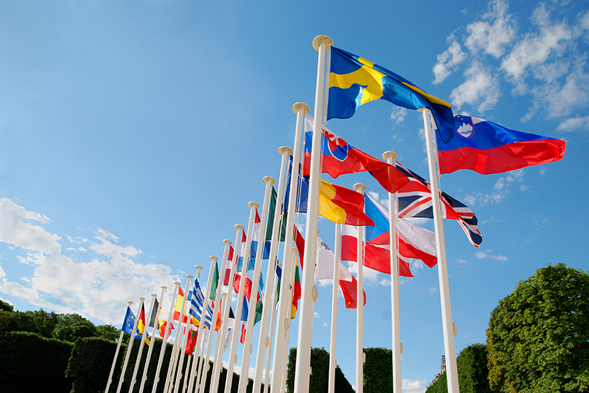  Flags of the EU states to the EU Trade Council