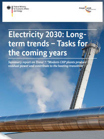 Cover of publication "Electricity 2030