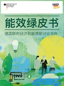 Cover of Green Paper on Energy Efficiency