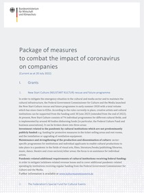 Package of measures to combat the impact of coronavirus on companies 