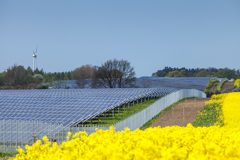 Les panneaux solaires et les éoliennes symbolisent la transition énergétique; source: BMWi/Holger Vonderlind 