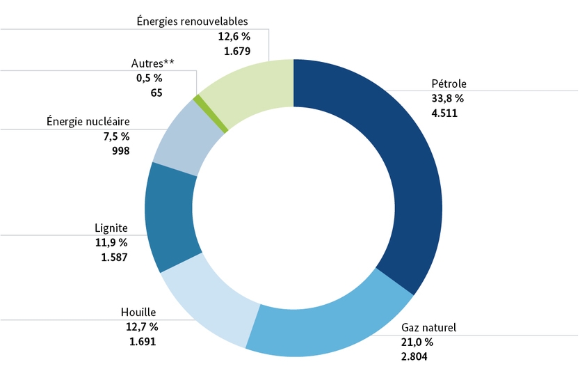 Consommation d’énergie primaire en Allemagne en 2015 (13.335 PJ)*