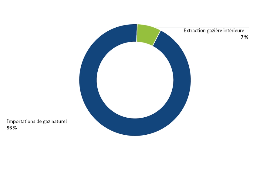 Importations et production allemandes de gaz en 2015